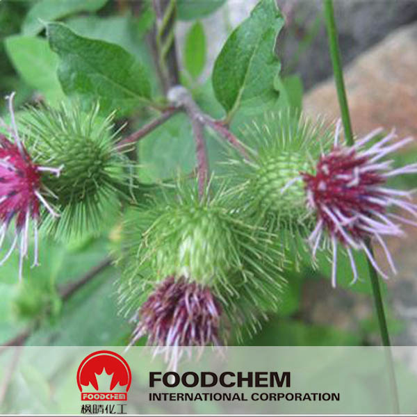 Burdock Root Extract